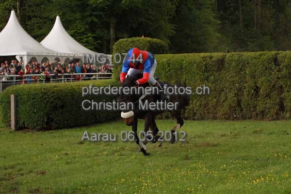IMG 0744 prot