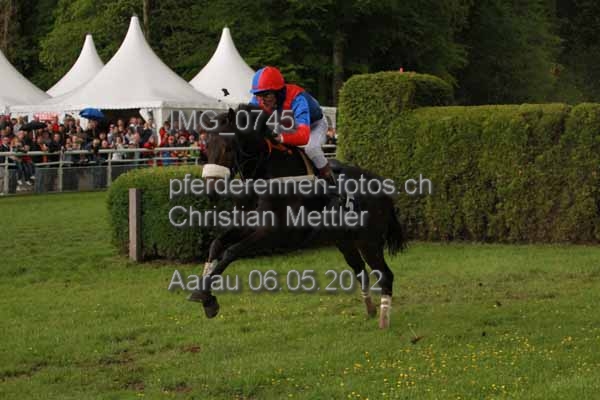 IMG 0745 prot