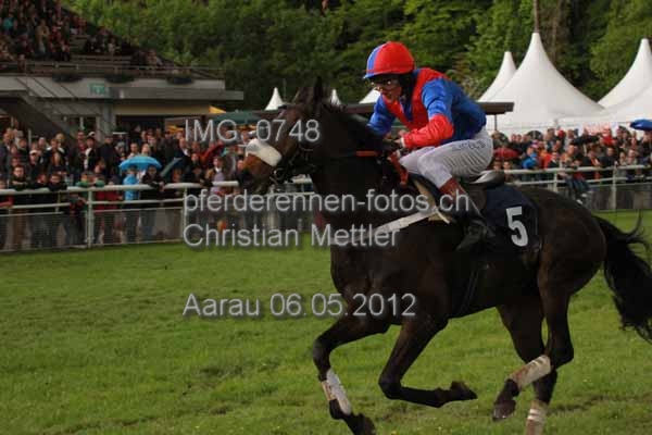 IMG 0748 prot
