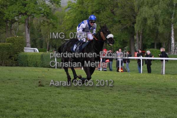 IMG 0754 prot