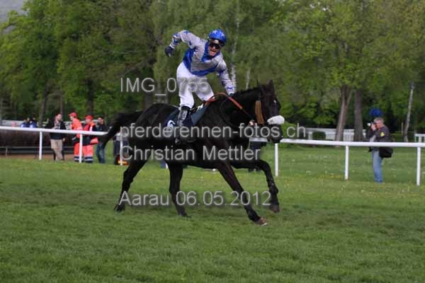 IMG 0755 prot