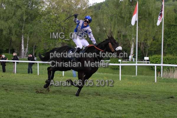 IMG 0756 prot