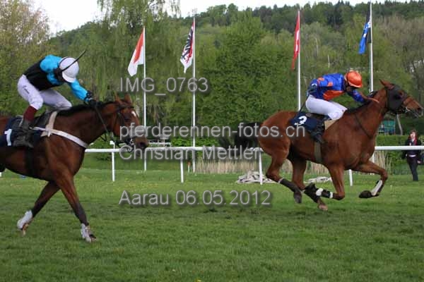 IMG 0763 prot