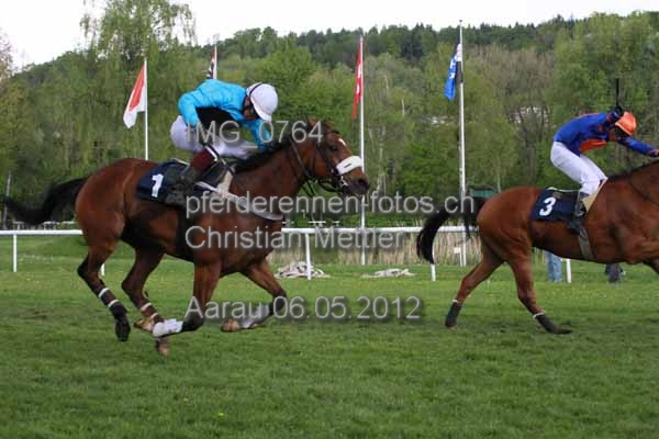 IMG 0764 prot