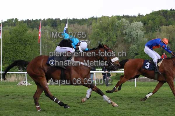 IMG 0765 prot