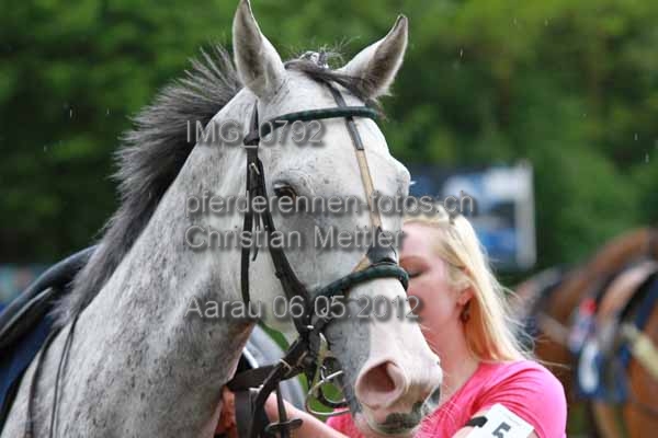 IMG 0792 prot