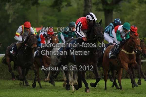 IMG 0830 prot