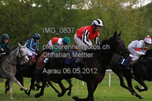 IMG 0837 prot