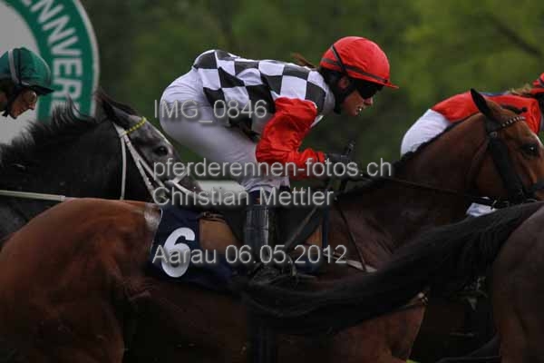 IMG 0846 prot