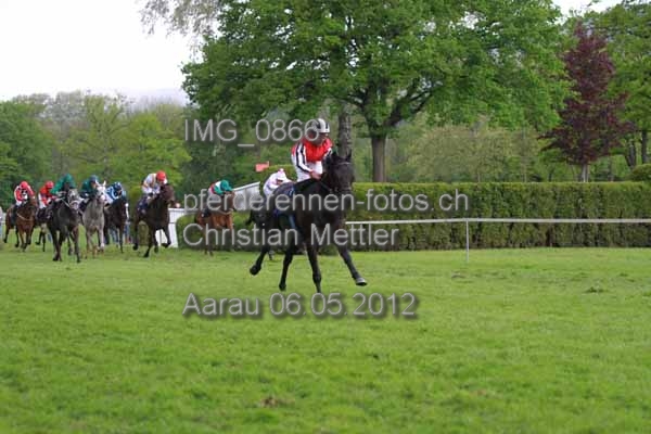 IMG 0866 prot