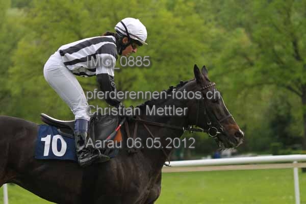 IMG 0885 prot