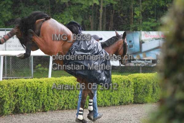 IMG 0939 prot