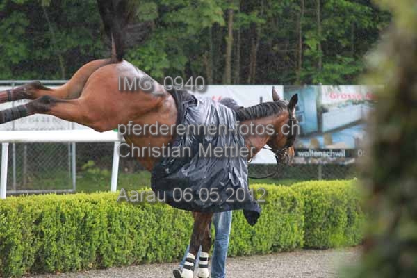 IMG 0940 prot