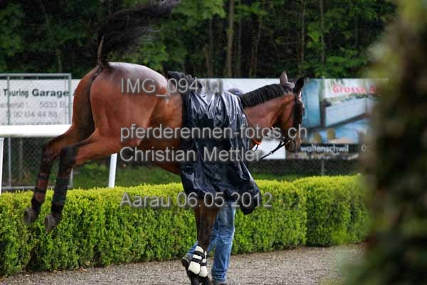 IMG 0941d prot