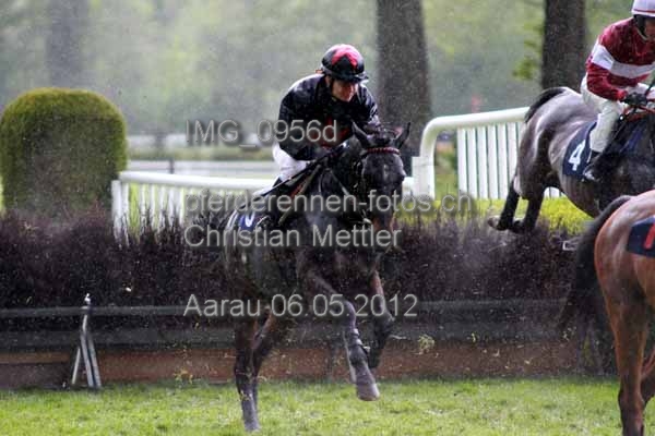 IMG 0956d prot