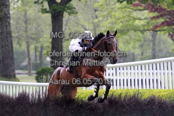 IMG 0966d prot