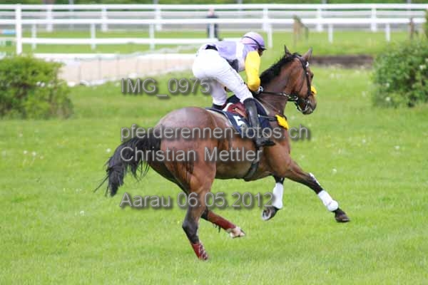 IMG 0975 prot