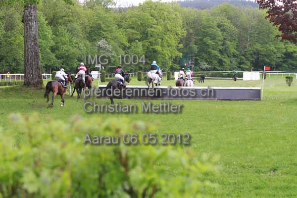 IMG 1004 prot