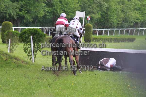 IMG 1008a prot