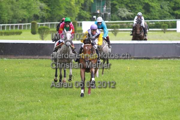 IMG 1023 prot