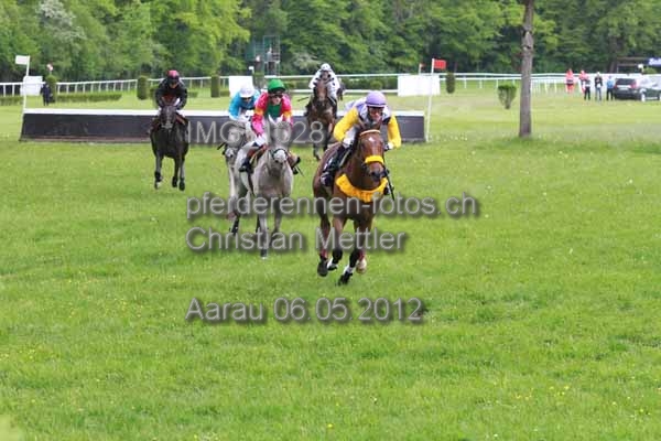 IMG 1028 prot