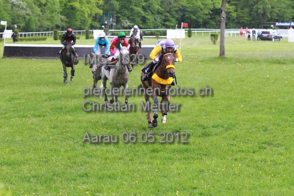 IMG 1029 prot