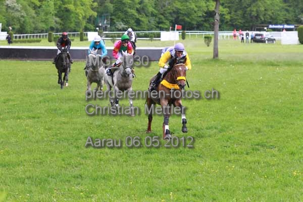 IMG 1030 prot