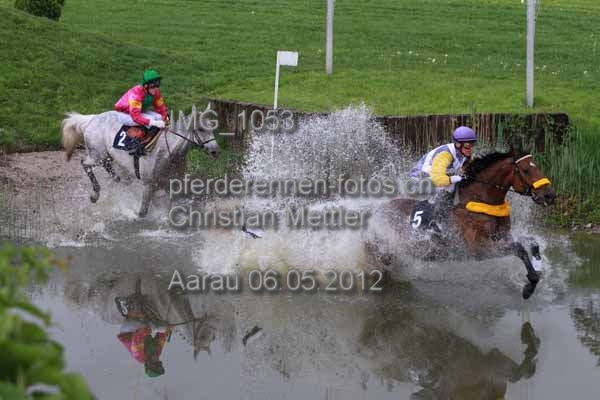 IMG 1053 prot