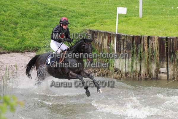 IMG 1067a prot