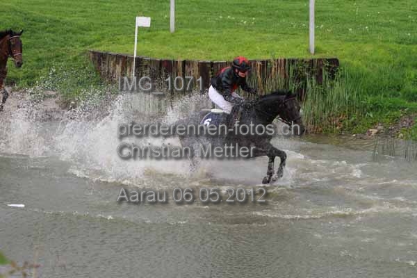 IMG 1071 prot