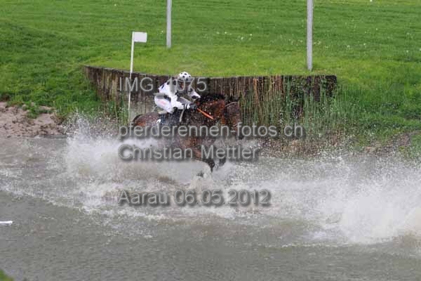 IMG 1075 prot