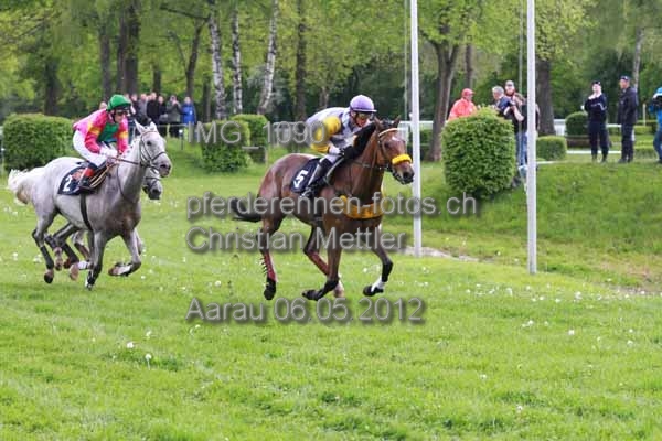 IMG 1090 prot