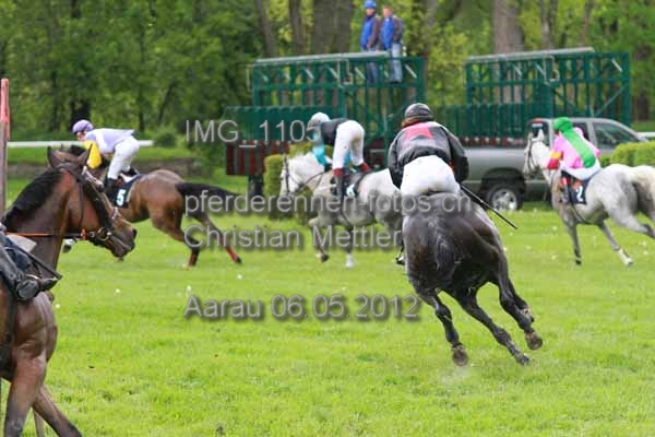 IMG 1105 prot