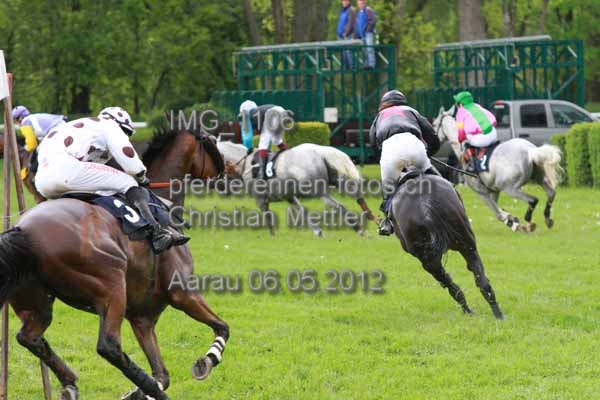 IMG 1106 prot