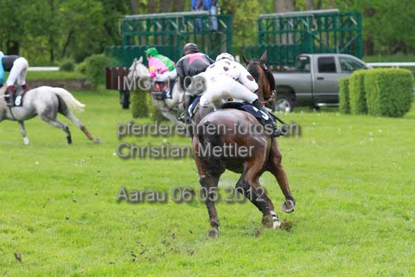 IMG 1108 prot