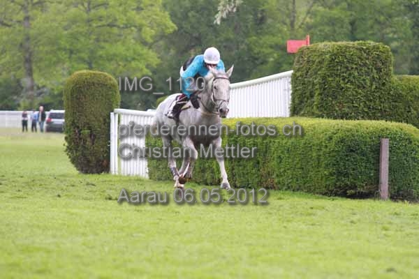 IMG 1120 prot
