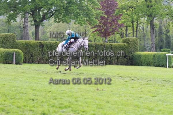 IMG 1126 prot