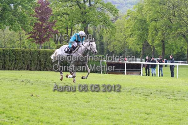 IMG 1128 prot