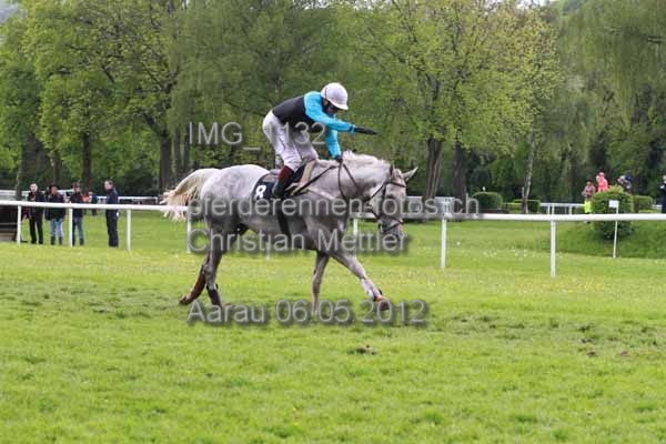 IMG 1132 prot
