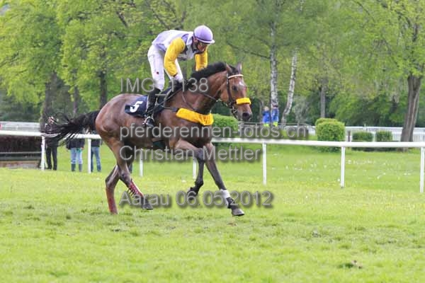 IMG 1138 prot