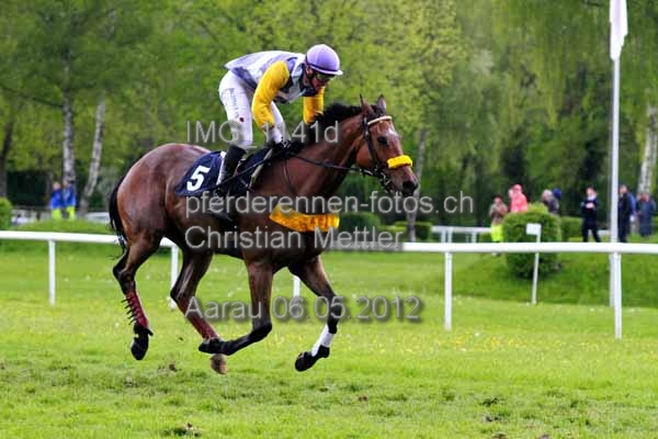 IMG 1141d prot