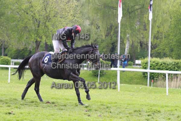 IMG 1146 prot