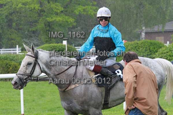 IMG 1162 prot