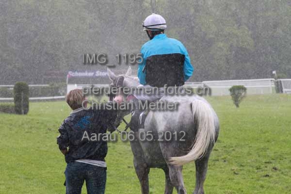IMG 1195 prot