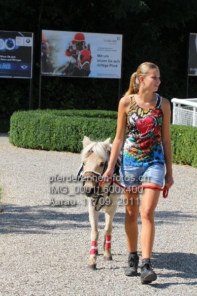 IMG 0001 600x400 prot