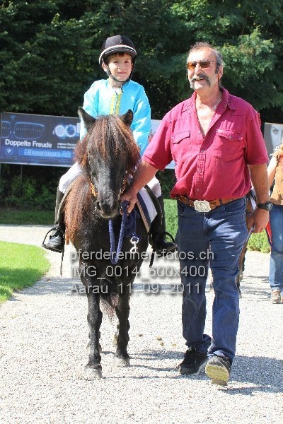 IMG 0014 600x400 prot