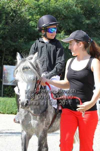 IMG 0016 600x400 prot
