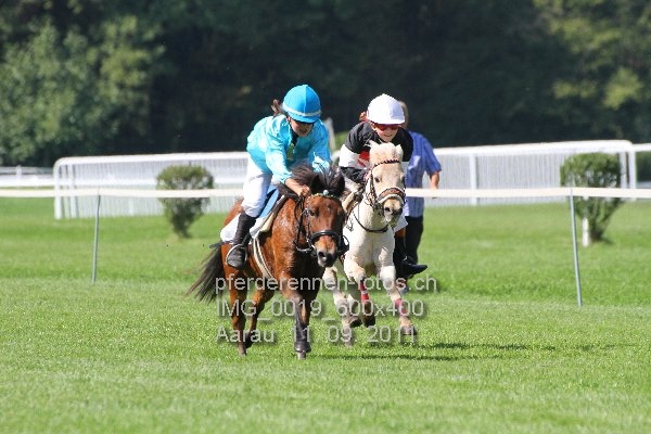 IMG 0019 600x400 prot