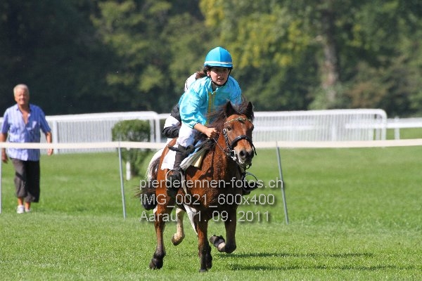 IMG 0021 600x400 prot