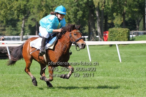 IMG 0024 600x400 prot